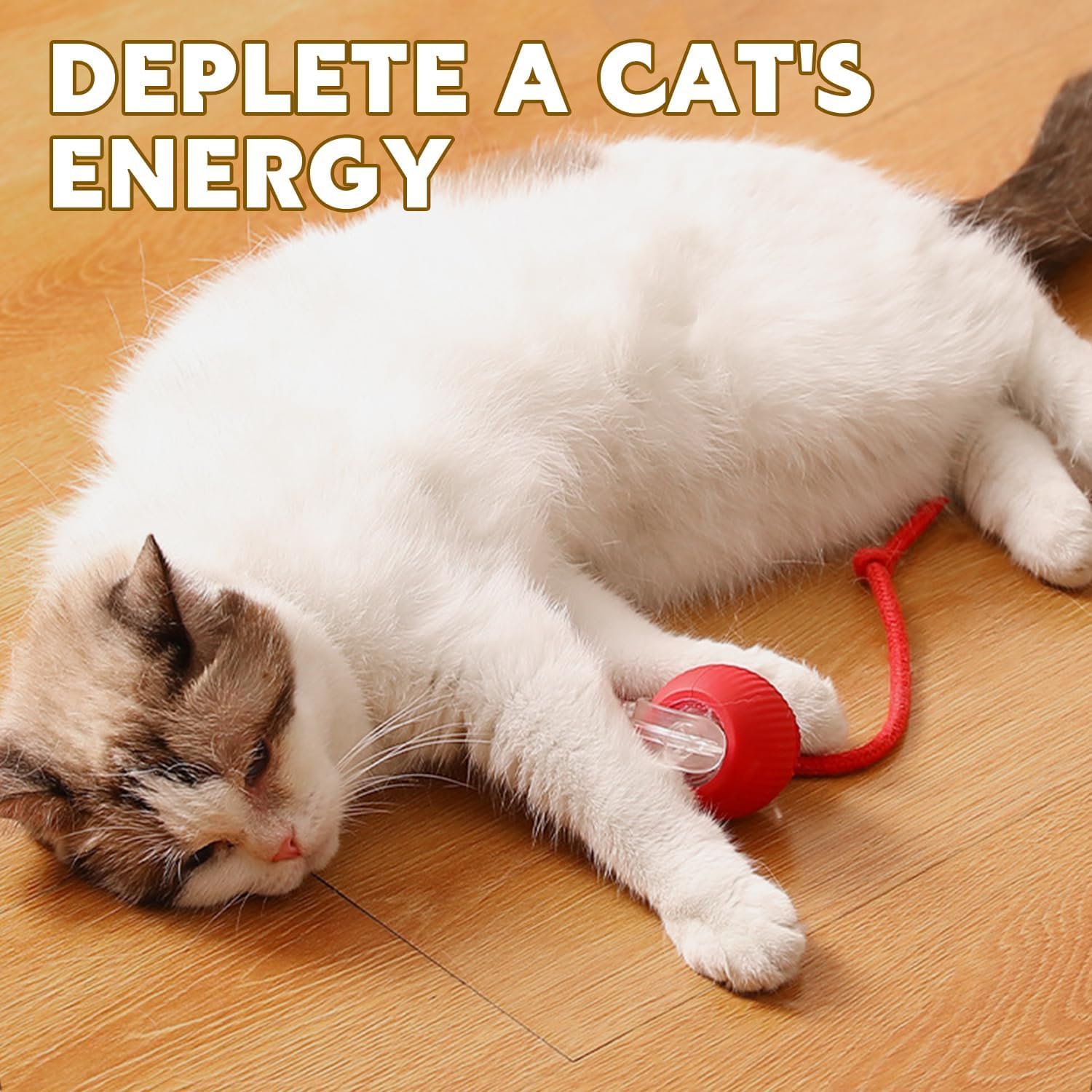 PawMotion – Interactive Motion Toy for Cats And Dogs